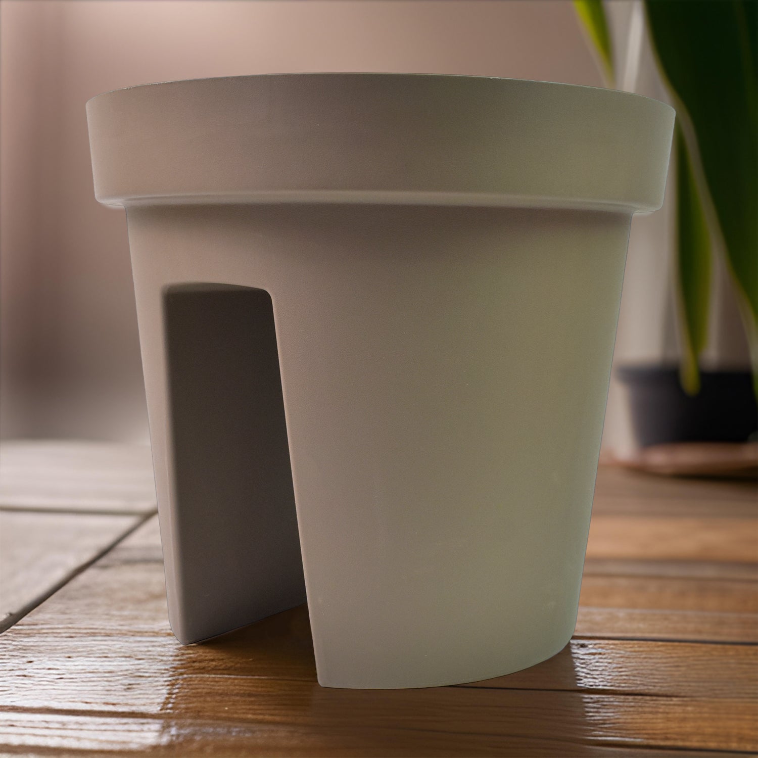 BlossomBalcony BlossomBalcony